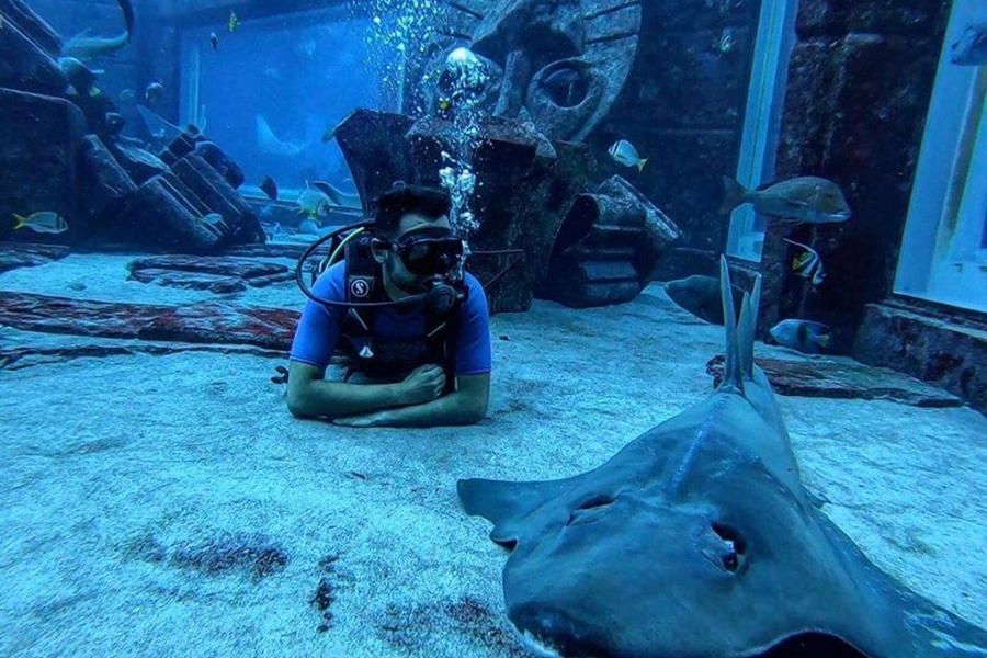 Atlantis Dubai Underwater Manta