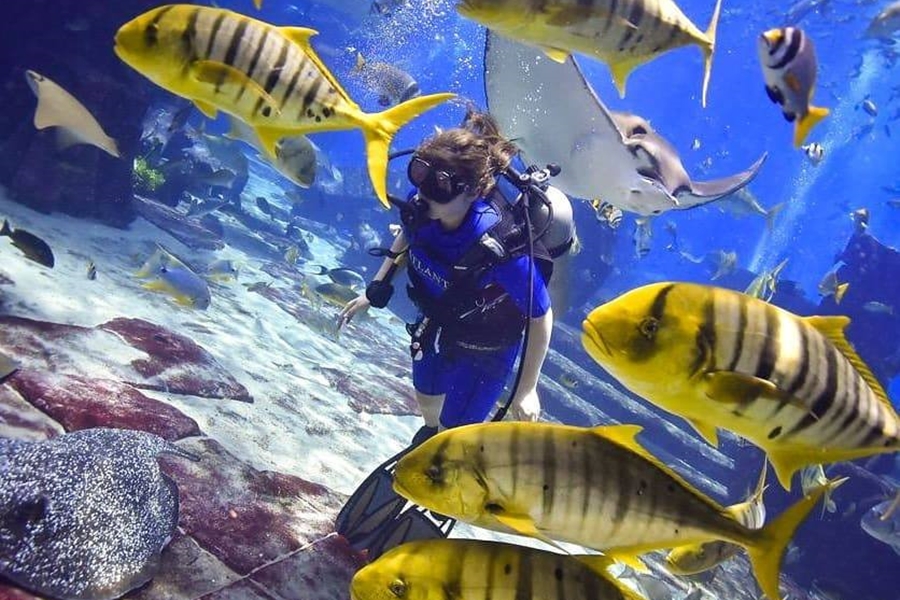Atlantis Underwater Fish