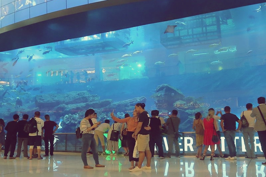 Dubai Aquarium And Underwater Zoo