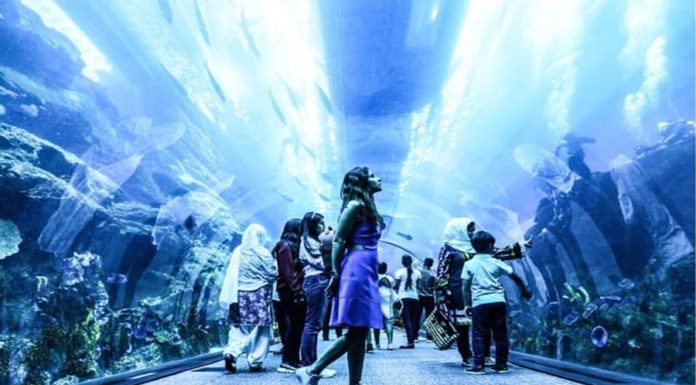Dubai Underwater Zoo