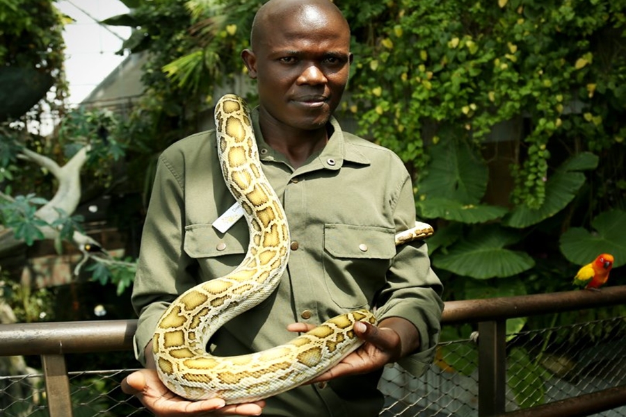 Green Planet Dubai Snake