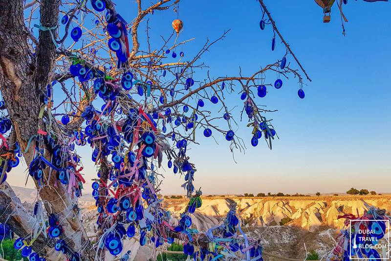 evil eye tree in goreme panorama view