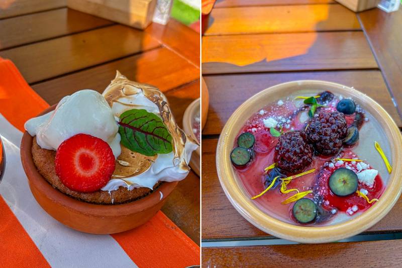 dessert at brunch in bloom gastro kitchen doubletree by hilton jbr